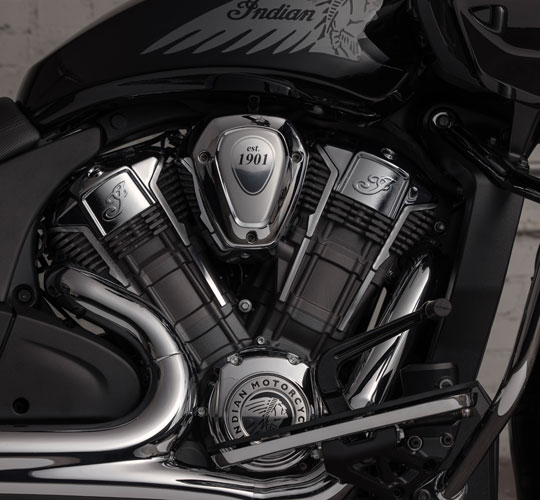 FREE REIN TO DOMINATE